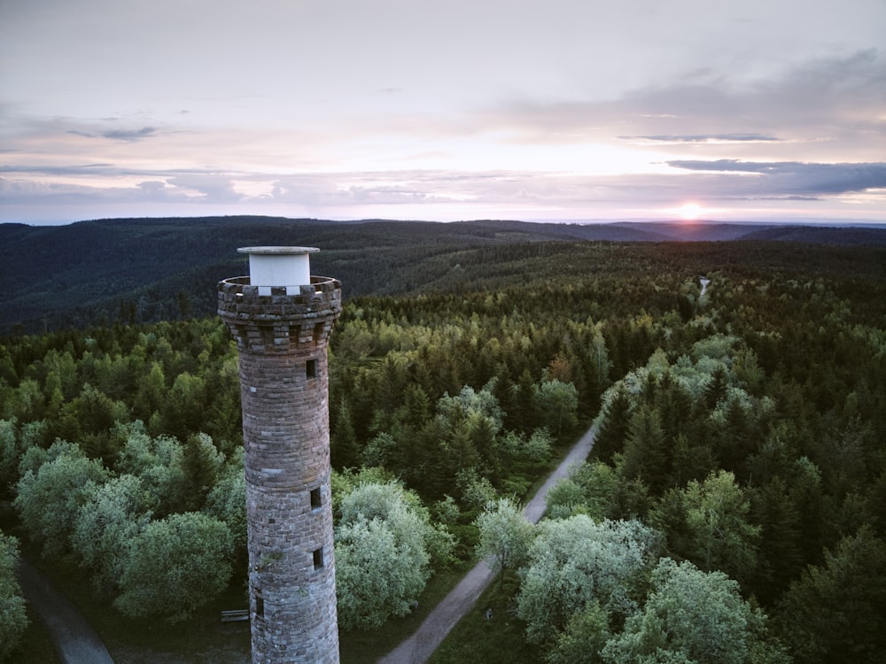 uma torre alta sentada no meio de uma floresta