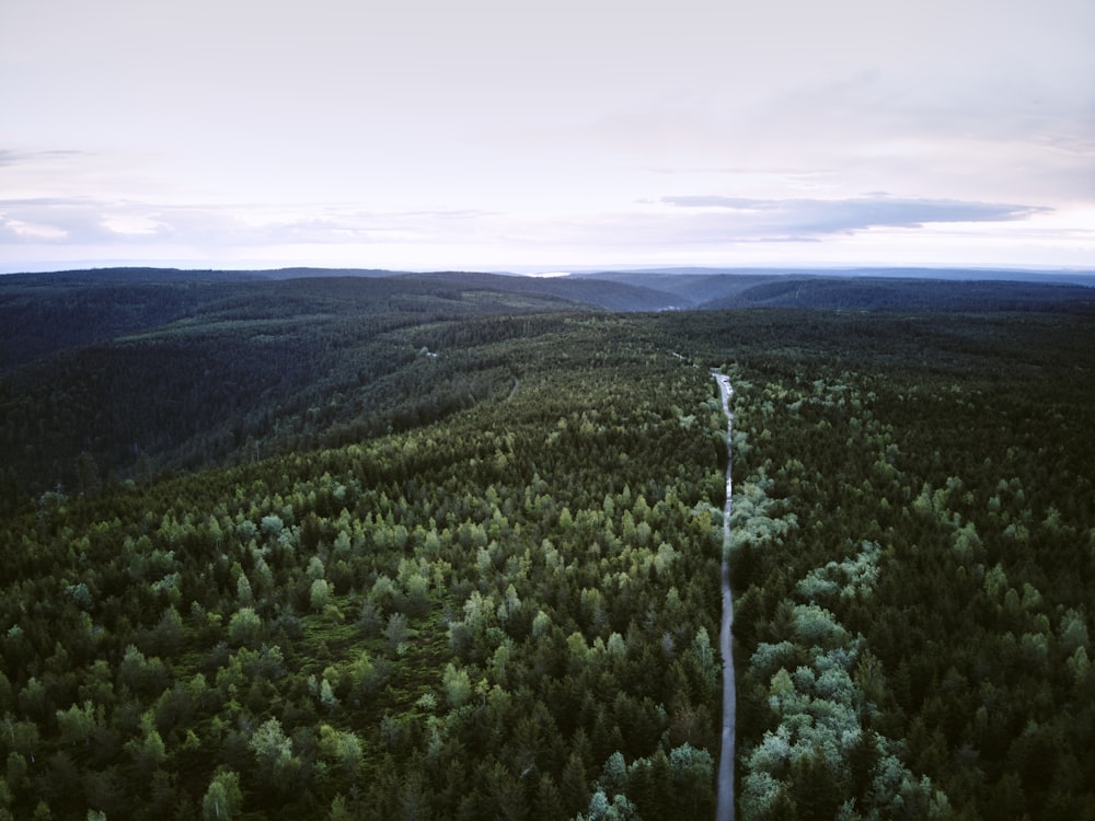 uma vista aérea de uma estrada no meio de uma floresta