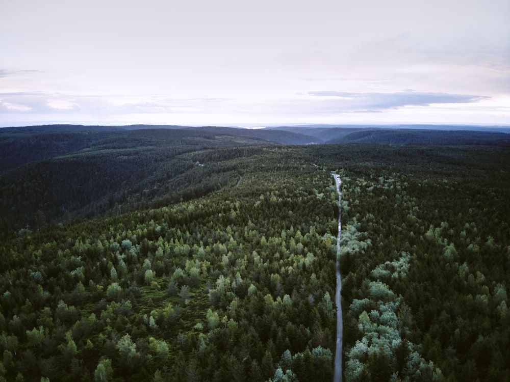 an aerial view of a road in the middle of a forest