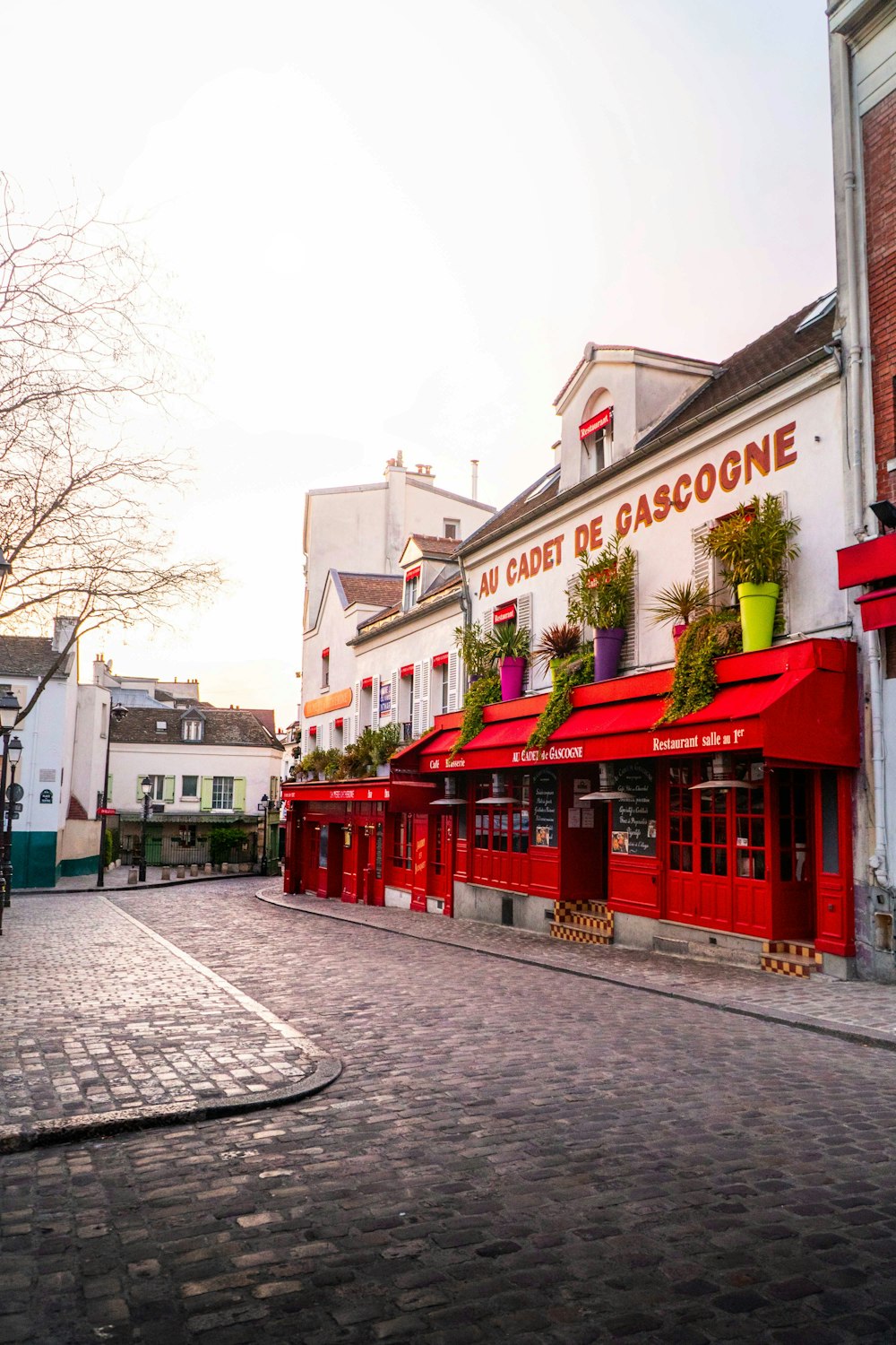 red and white concrete building near bare trees during daytime