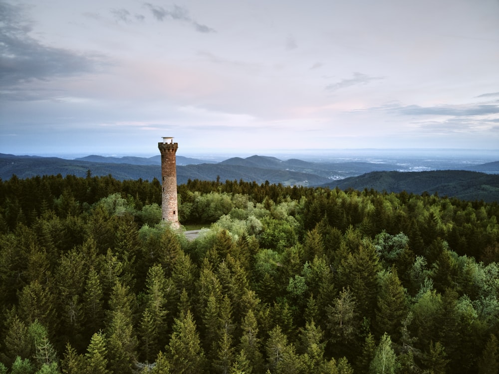 a tall tower sitting in the middle of a forest
