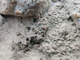 A close-up view of a rough, textured surface composed of what appears to be a combination of soil and small rocks or concrete debris. The surface is uneven and granular, with varying shades and small protrusions.