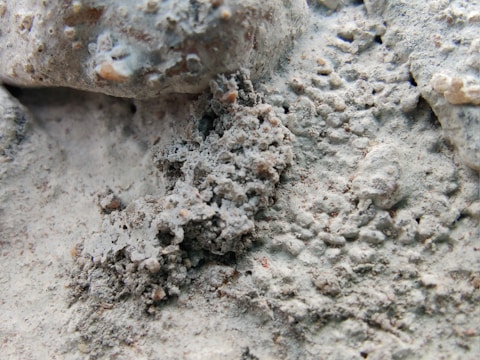 A close-up view of a rough, textured surface composed of what appears to be a combination of soil and small rocks or concrete debris. The surface is uneven and granular, with varying shades and small protrusions.