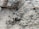 A close-up view of a rough, textured surface composed of what appears to be a combination of soil and small rocks or concrete debris. The surface is uneven and granular, with varying shades and small protrusions.
