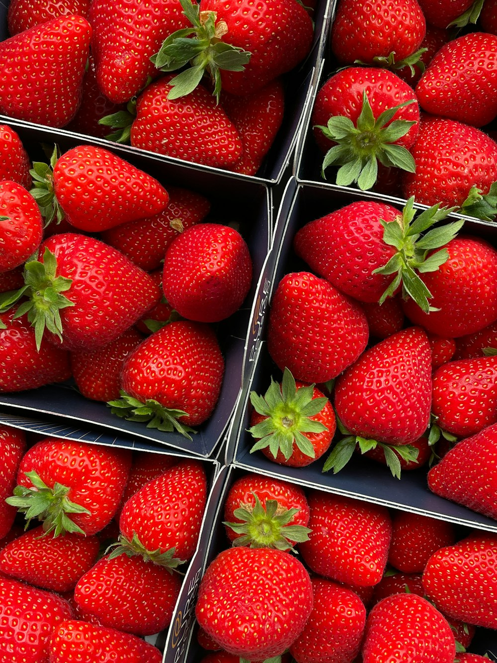 a close up of many boxes of strawberries