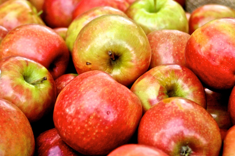 red and green apples in close up photography