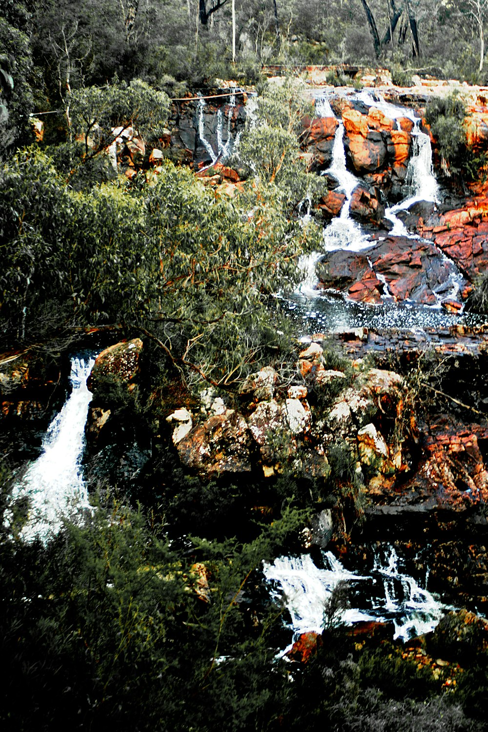 a água cai no meio da floresta