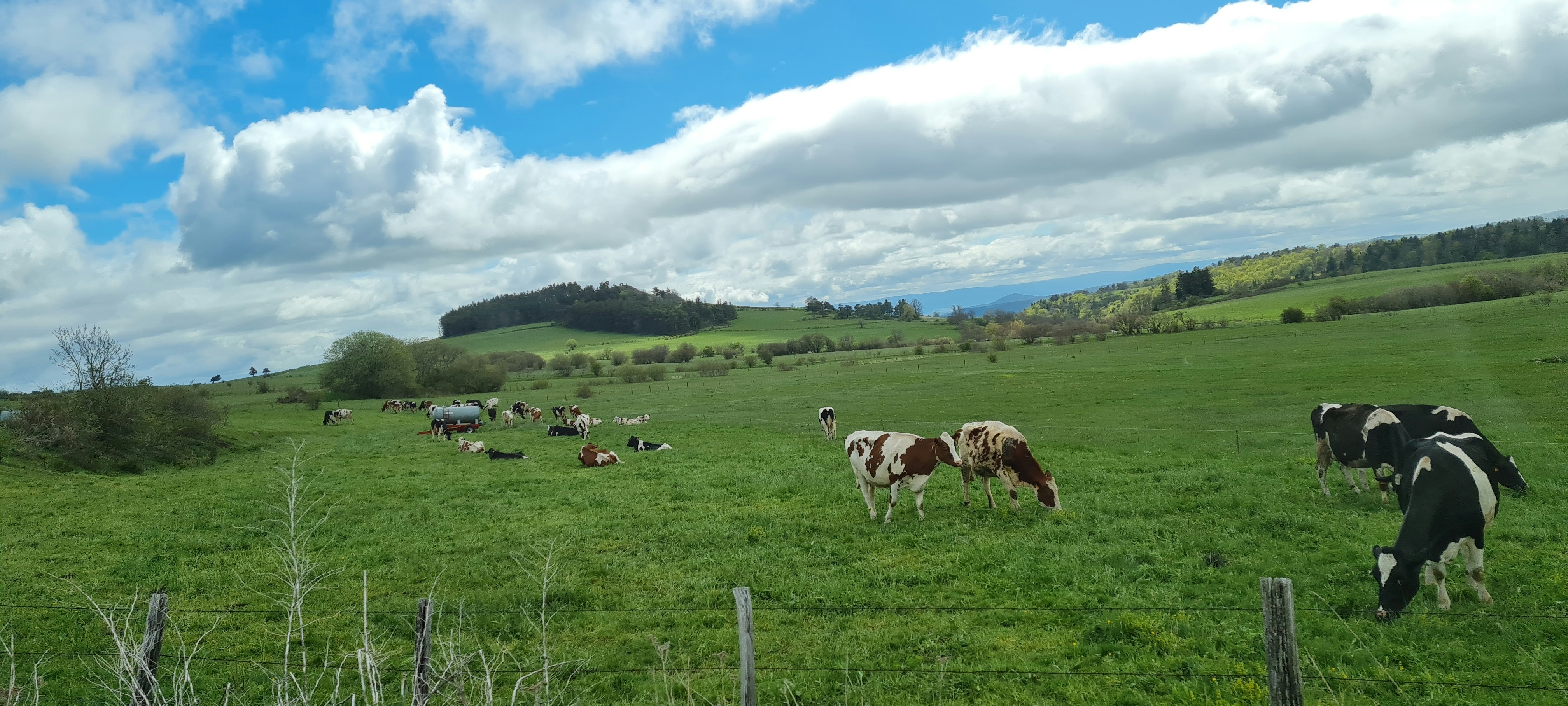 Photo by ateliermemento