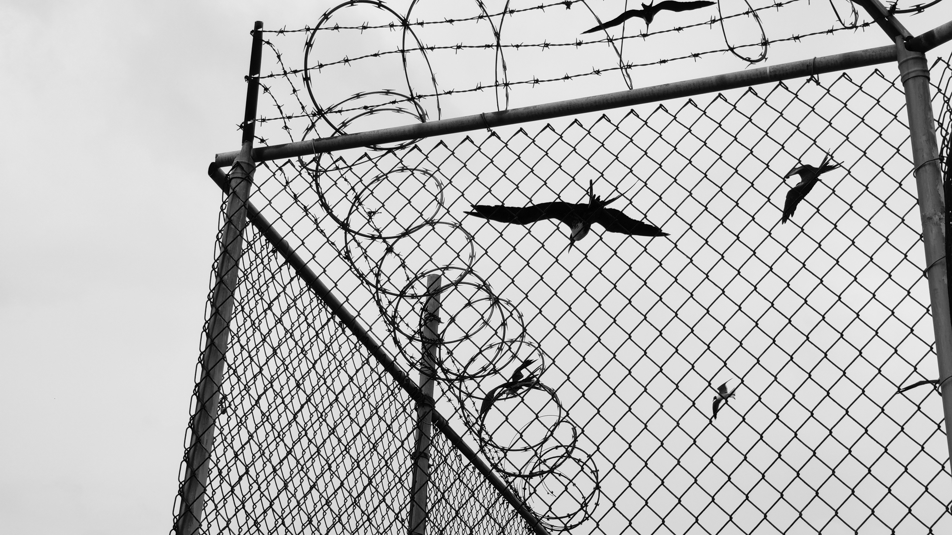 Photo by rrricharddd