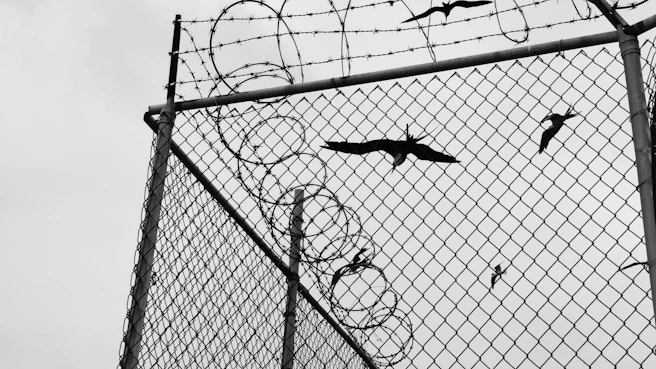 grayscale photo of barbwire fence