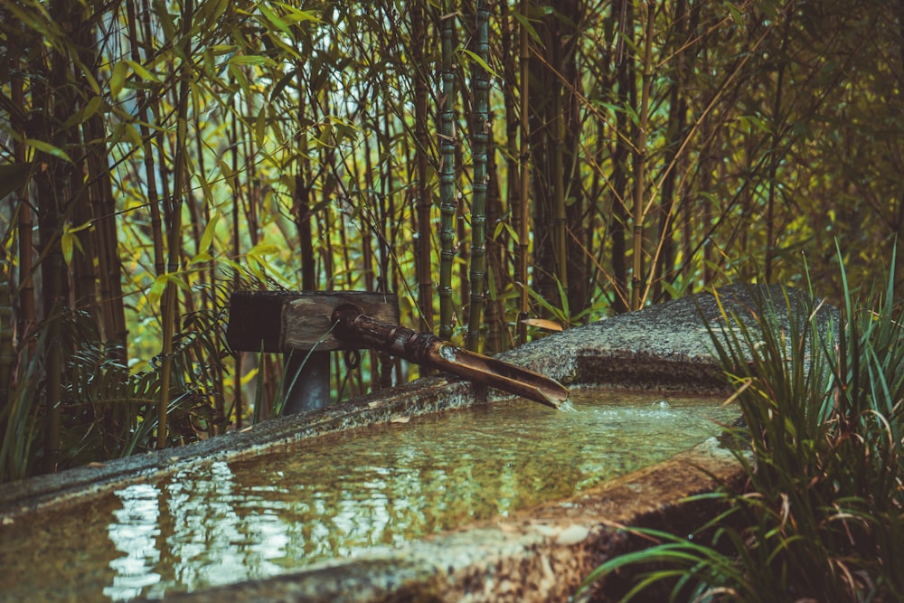 brown wooden stick on body of water