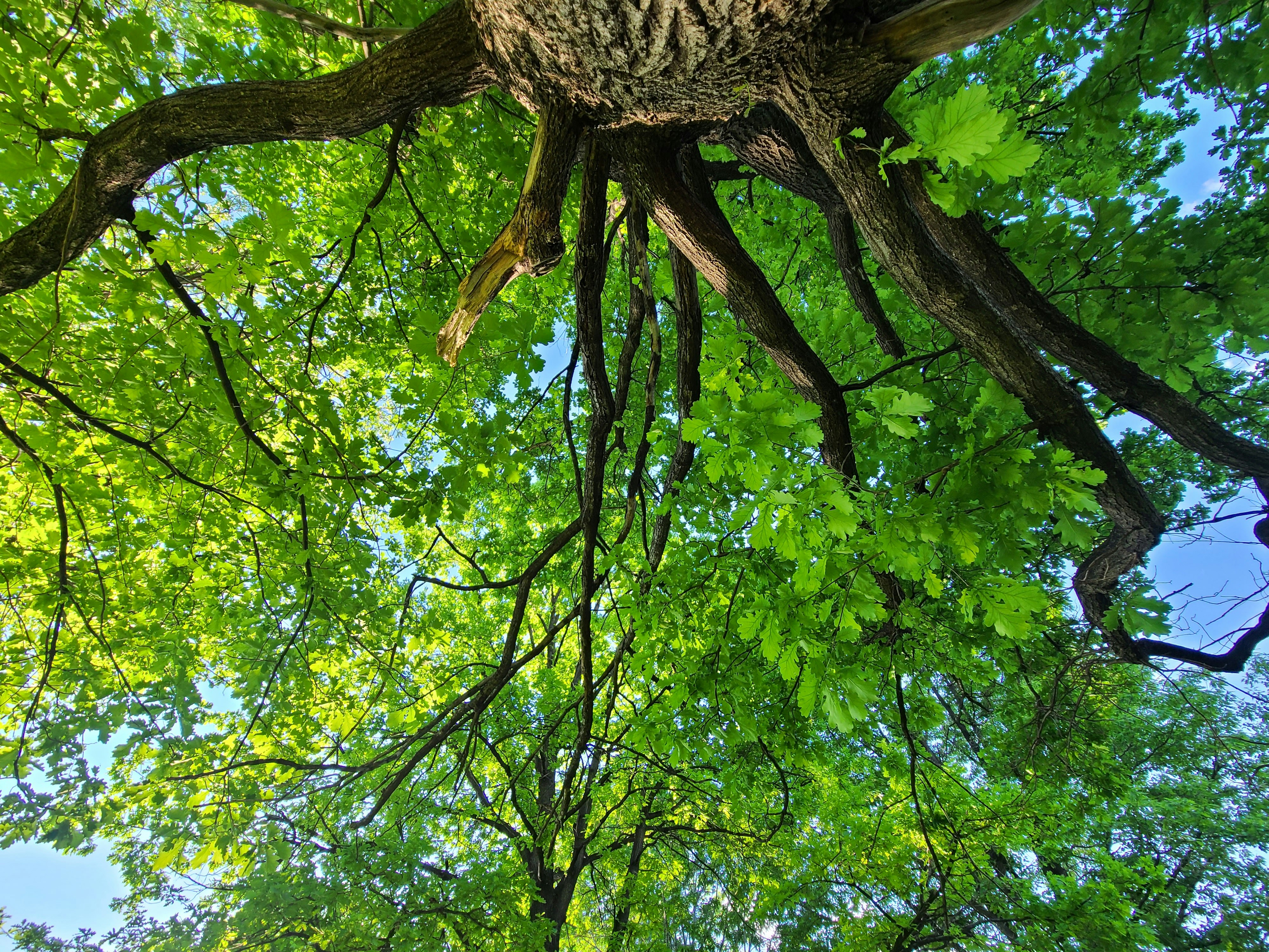 Photo by kevymichaelscontent