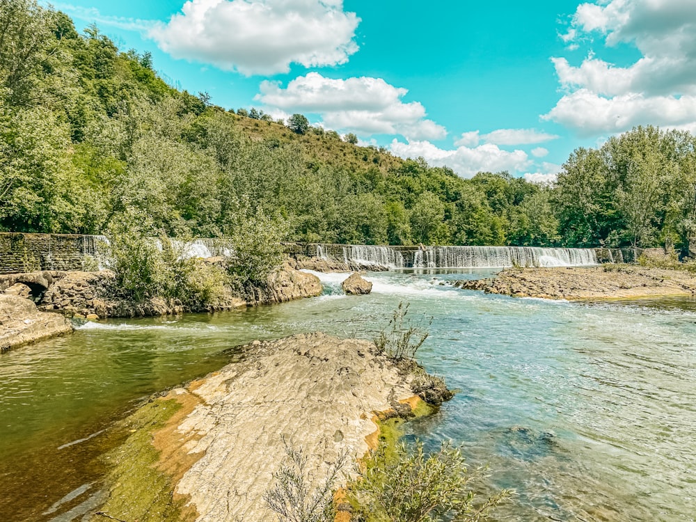 river between green trees under blue sky during daytime