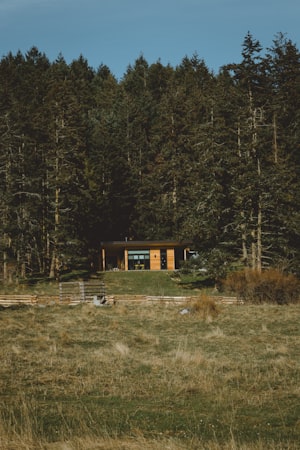 Modern cabin retreat in wooded setting