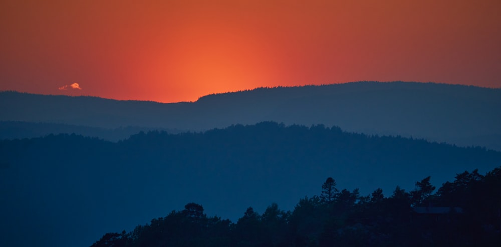 silhouette of trees during sunset