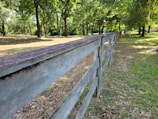 A freshly installed wooden privacy fence lining a suburban backyard on a sunny day.