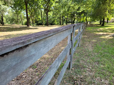 A freshly built wooden fence with rich natural stain surrounding a sunny backyard.