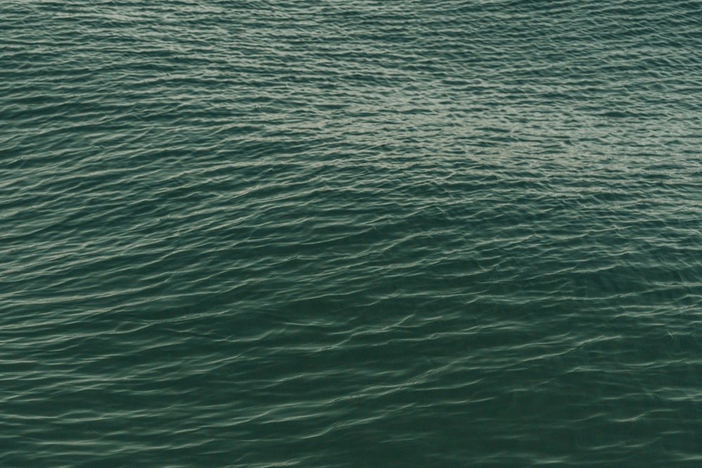 green body of water during daytime