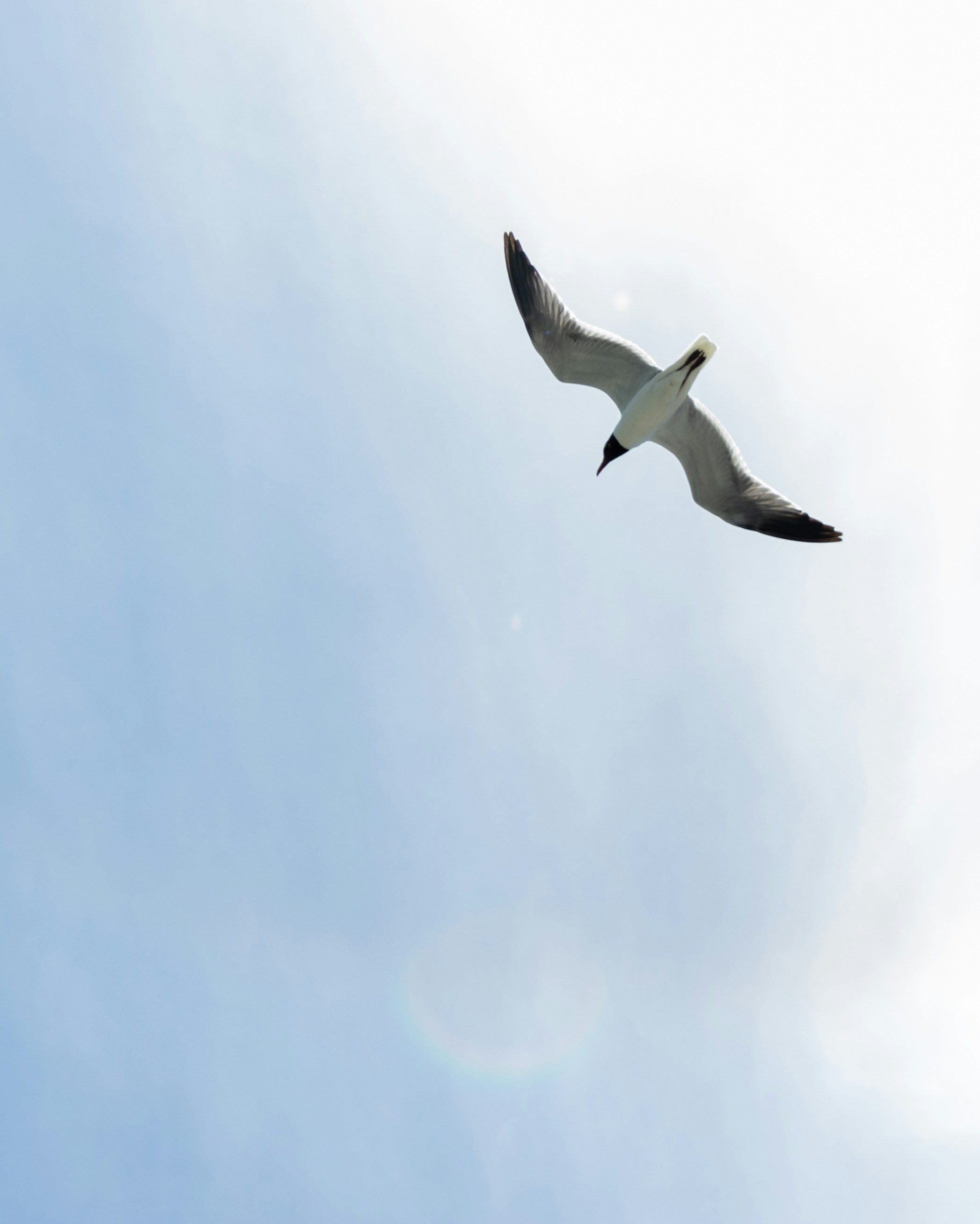 Photo by kathmandude_