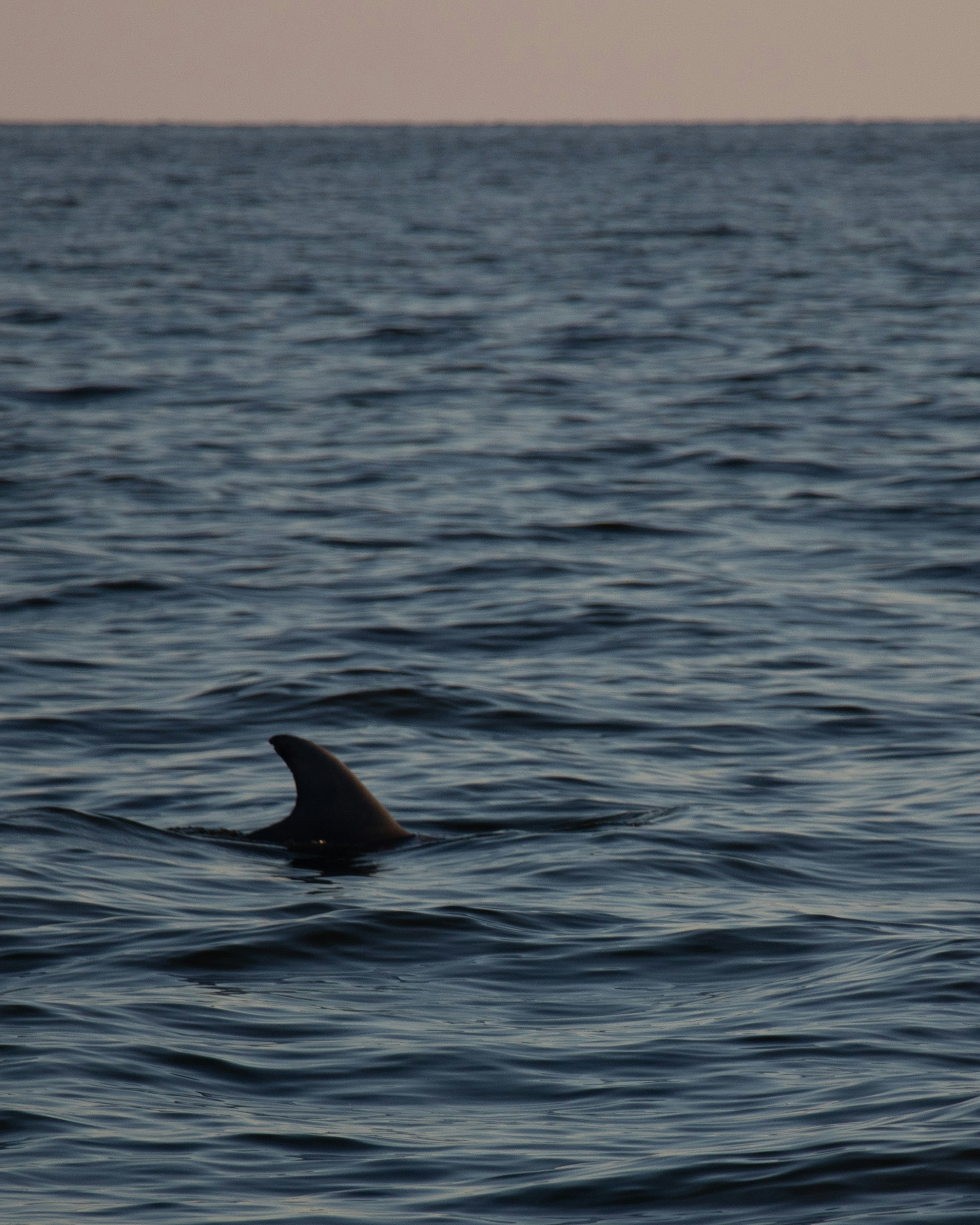 Photo by kathmandude_