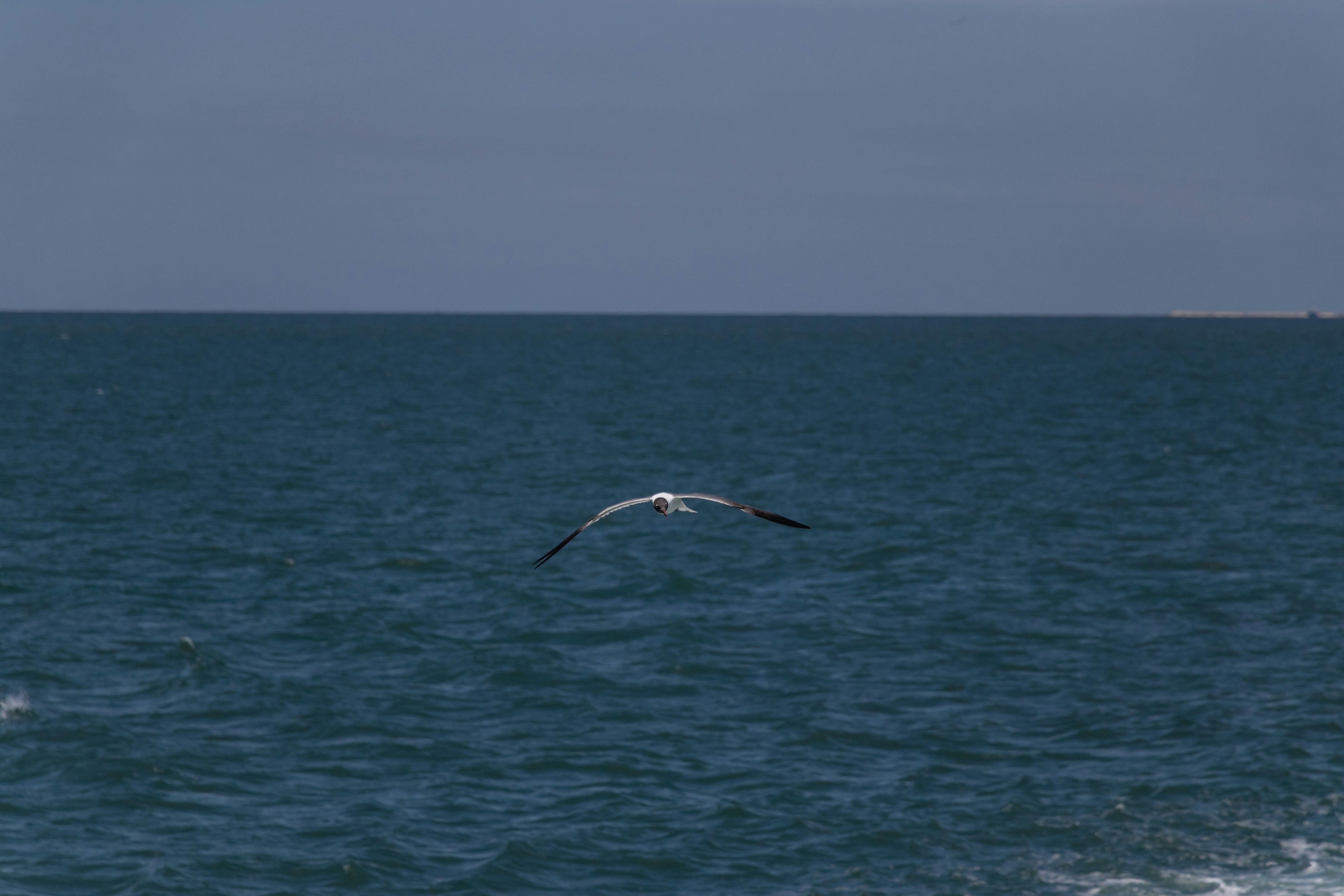 Photo by kathmandude_