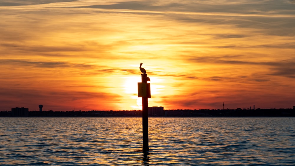 silhouette of lighthouse during sunset