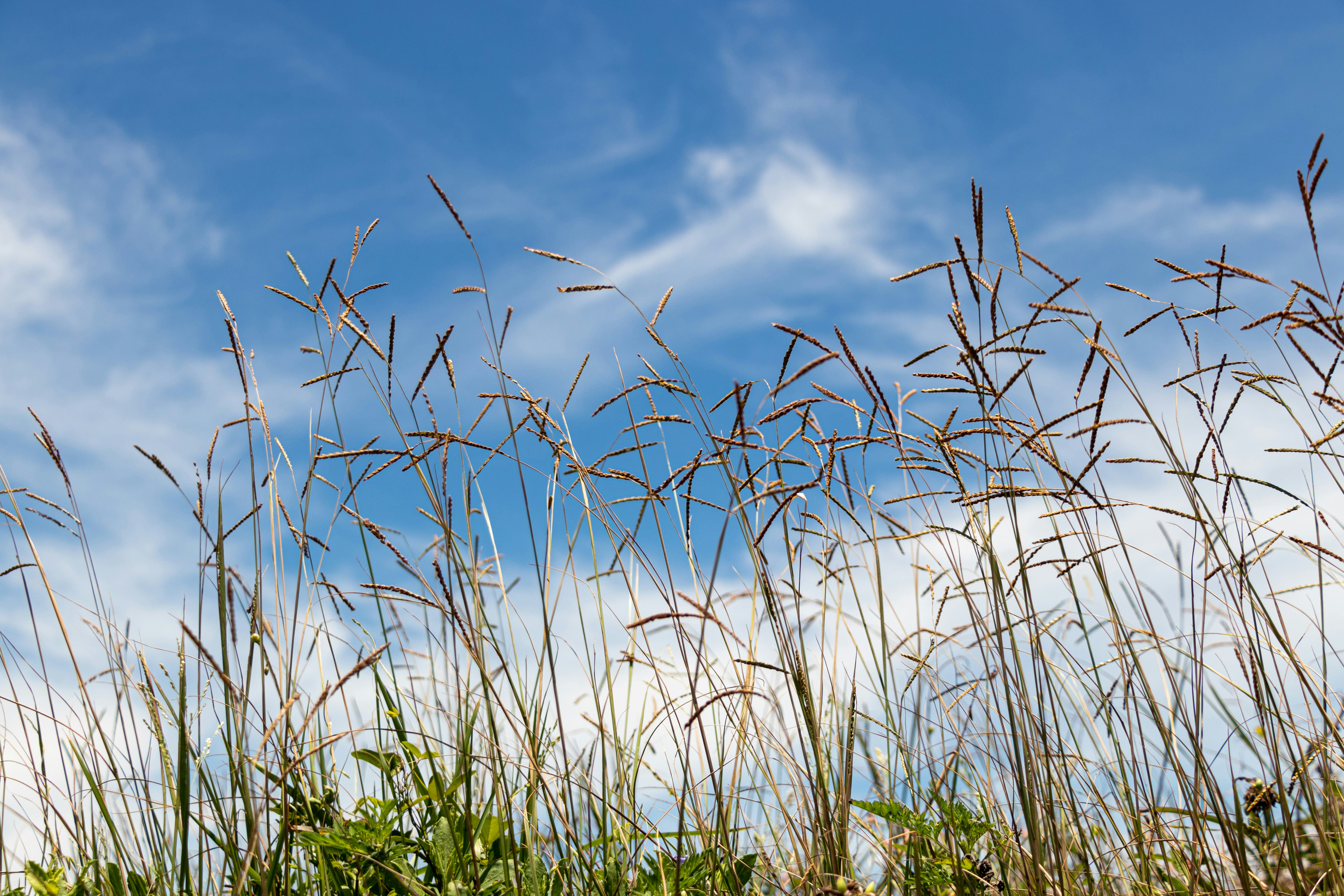 Photo by kathmandude_