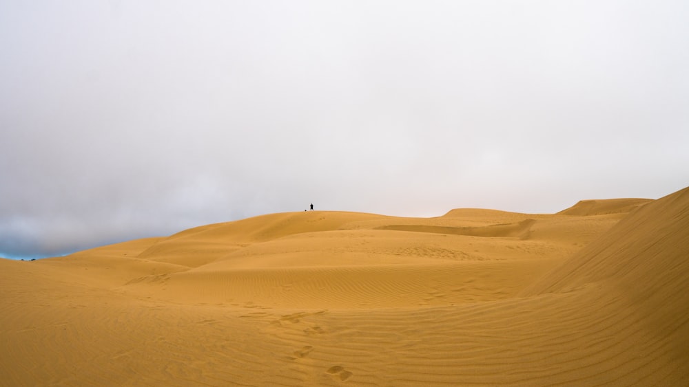 Persona que camina en el desierto durante el día