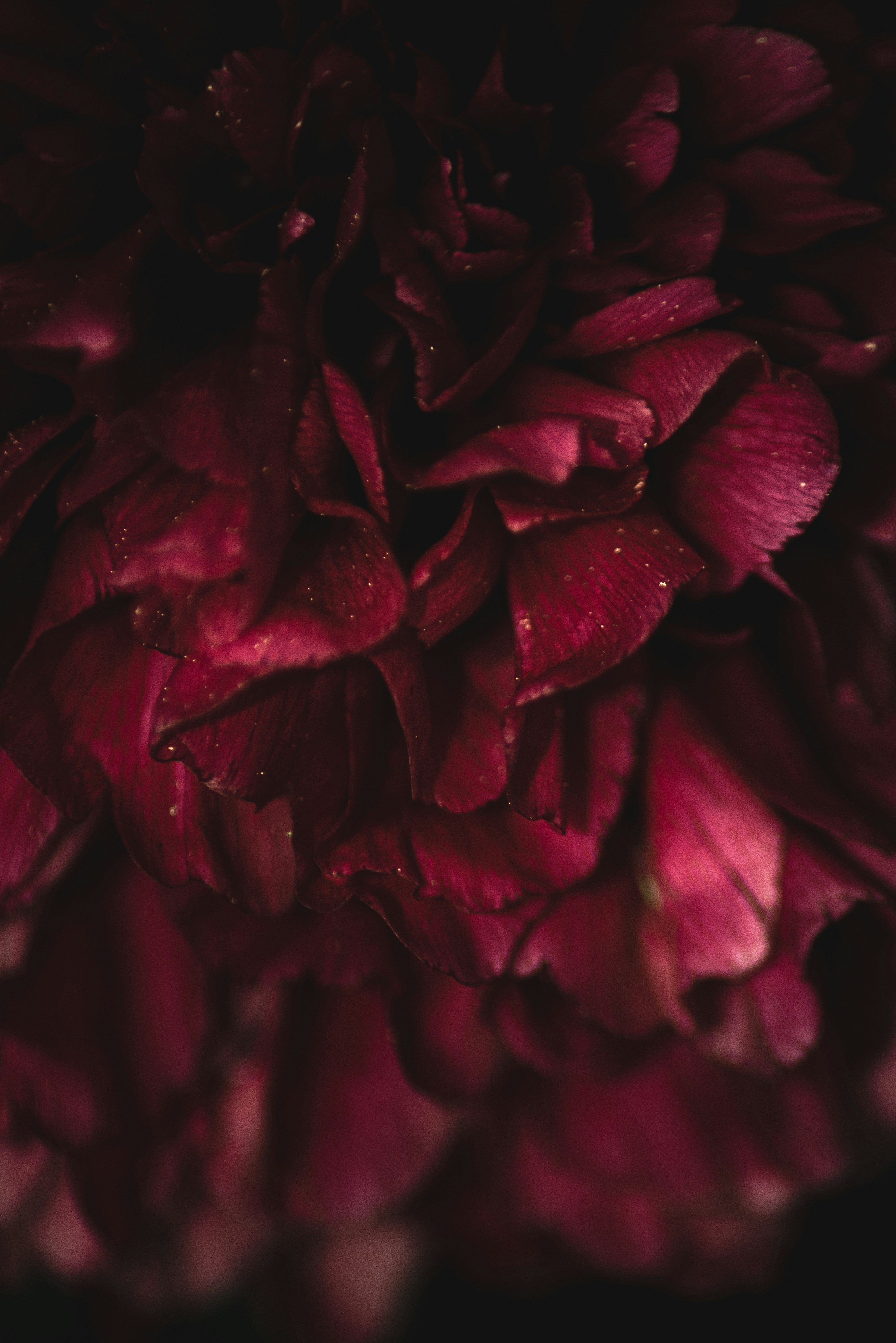 Photo by ryunosuke_kikuno