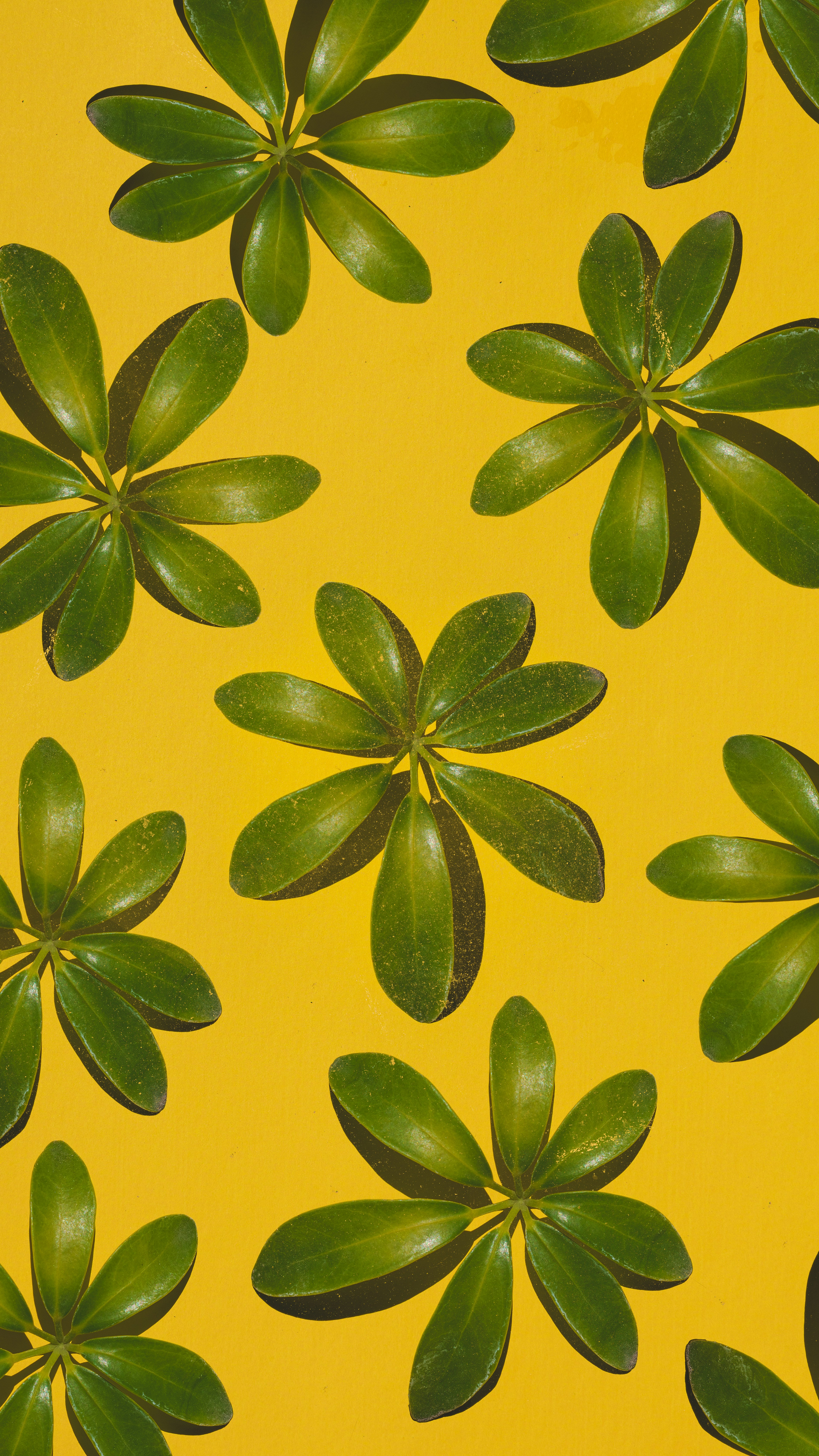 Choose from a curated selection of pattern wallpapers for your mobile and desktop screens. Always free on Unsplash.