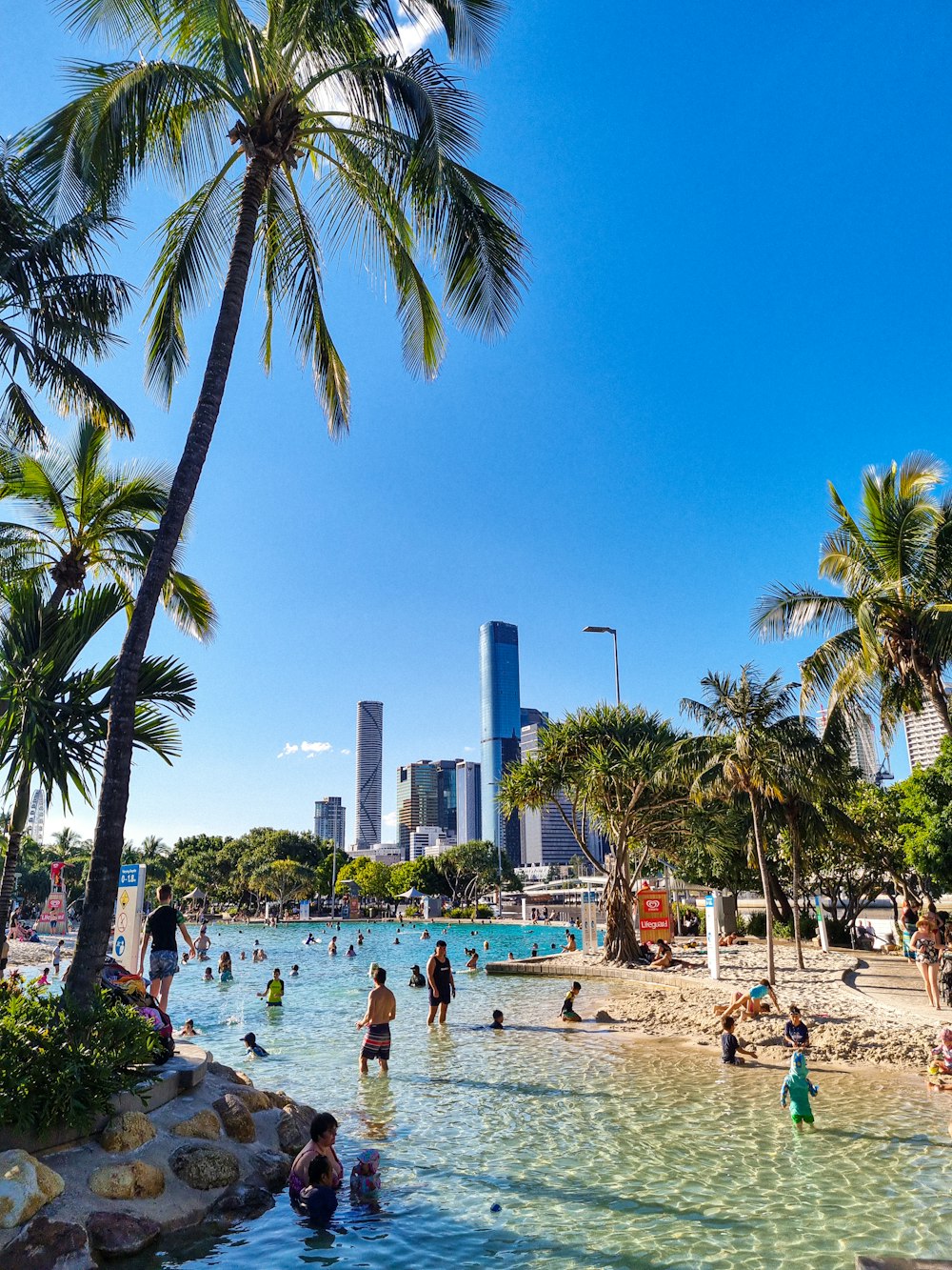 people on beach during daytime