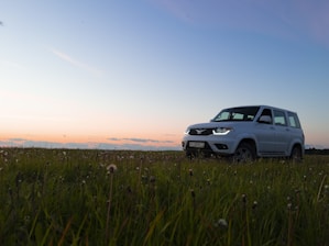 white suv on green grass field during daytime