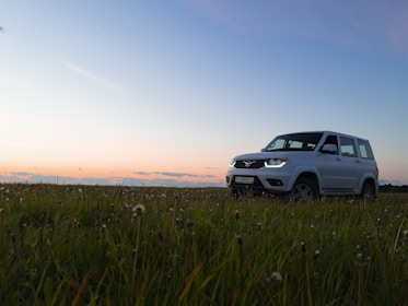 white suv on green grass field during daytime