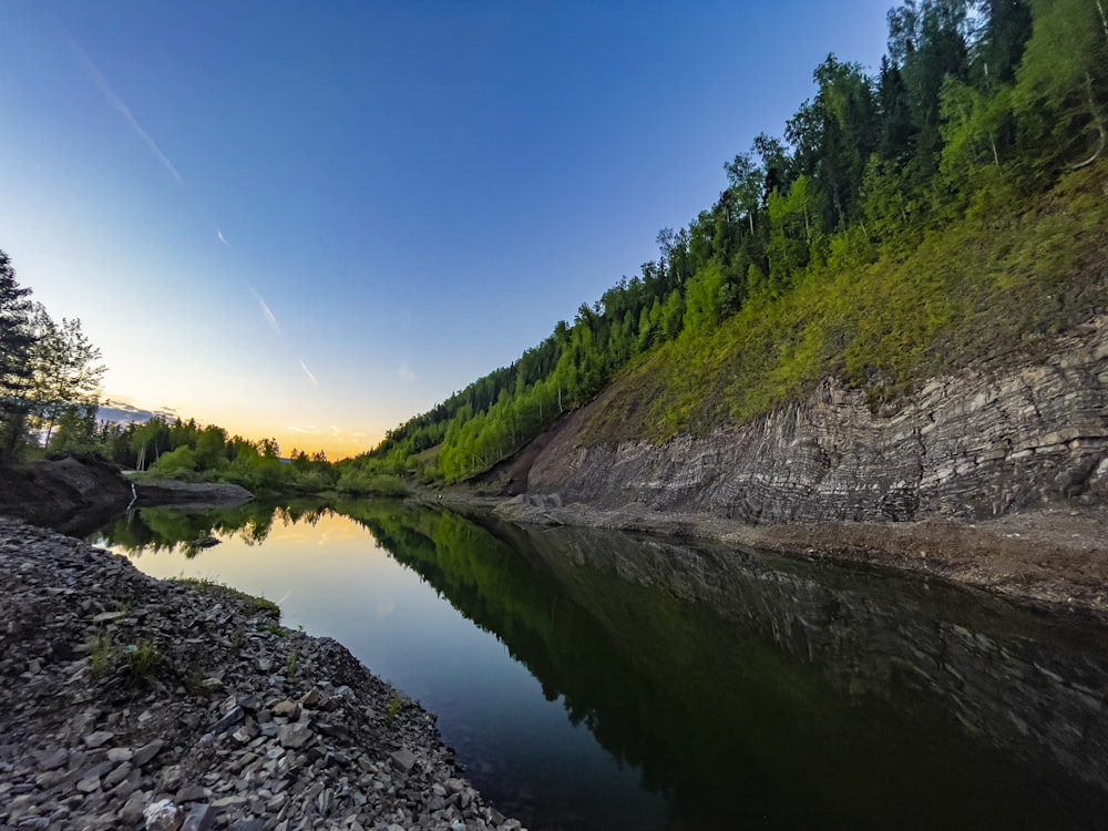 green trees beside river under blue sky during daytime