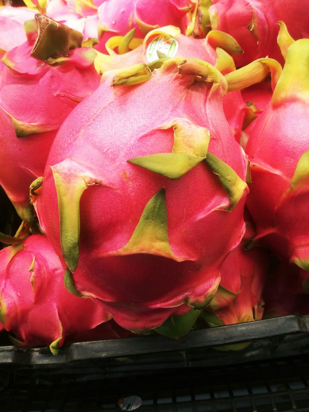 pink and green dragon fruit