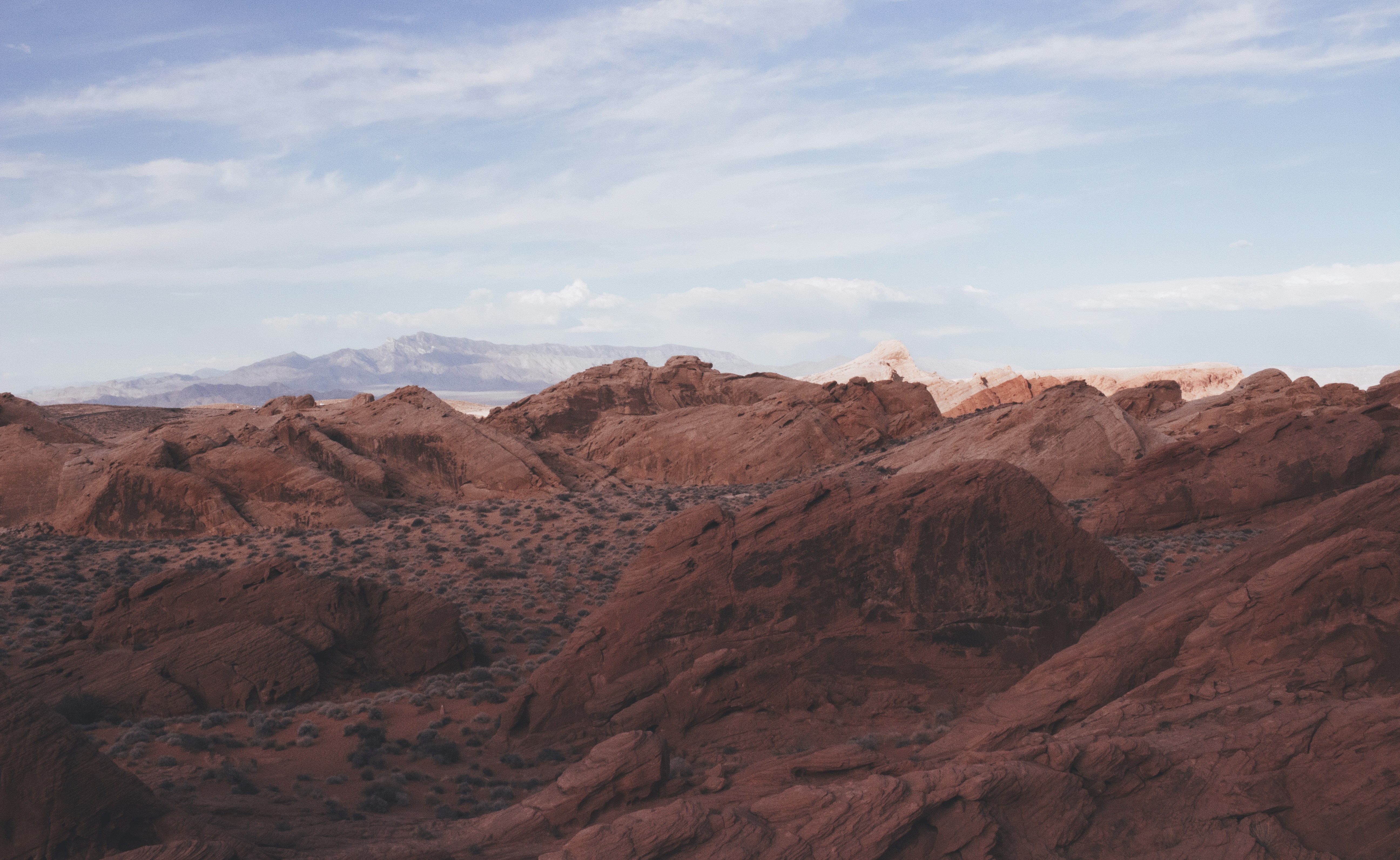 Photo by jewadalnabi