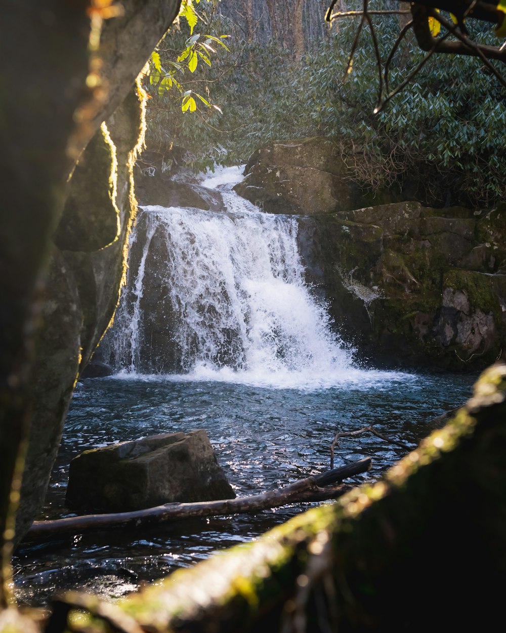 a small waterfall in the middle of a forest