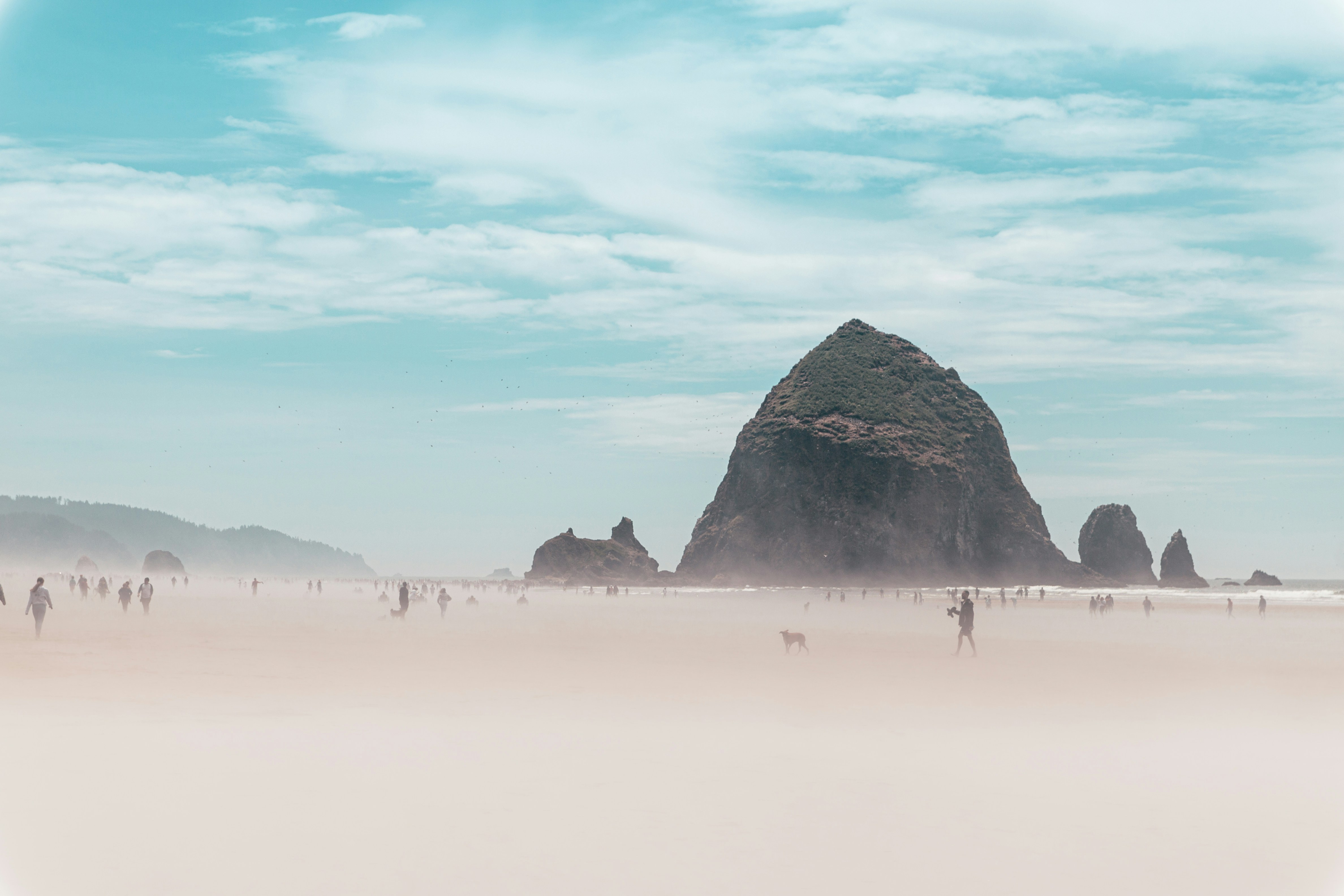 people on beach during daytime
