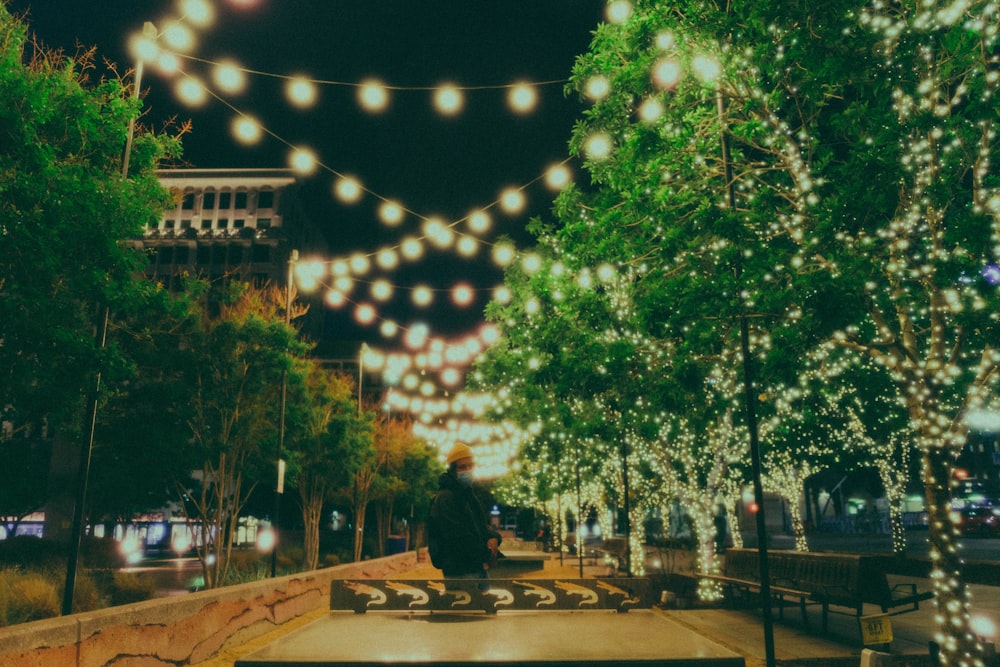 man in black jacket sitting on bench under green tree with string lights during night time