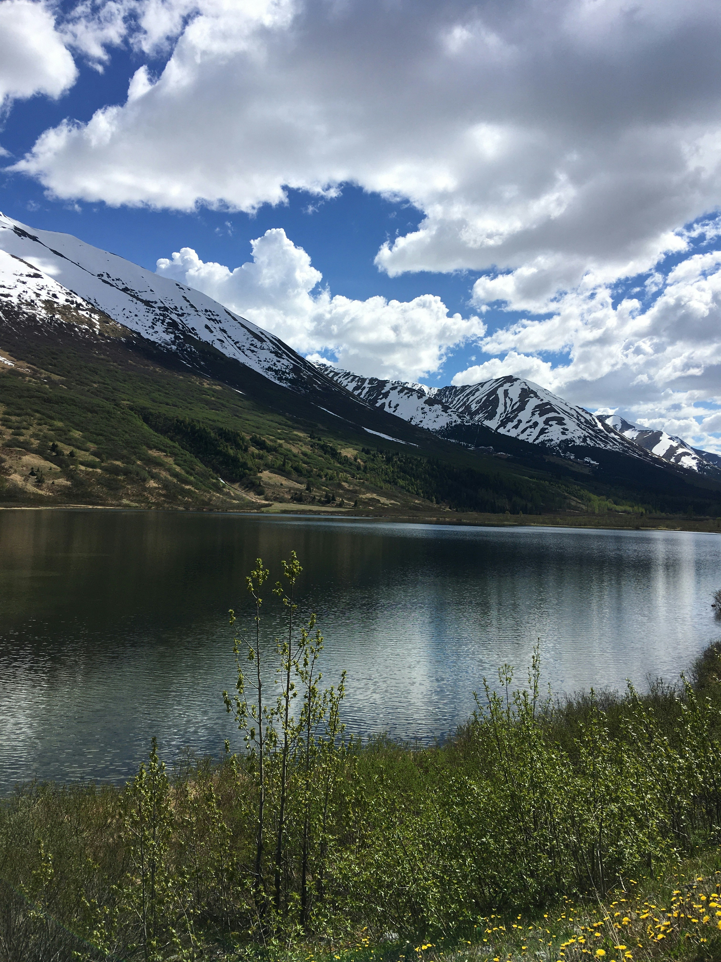 Photo by glenn_horgan