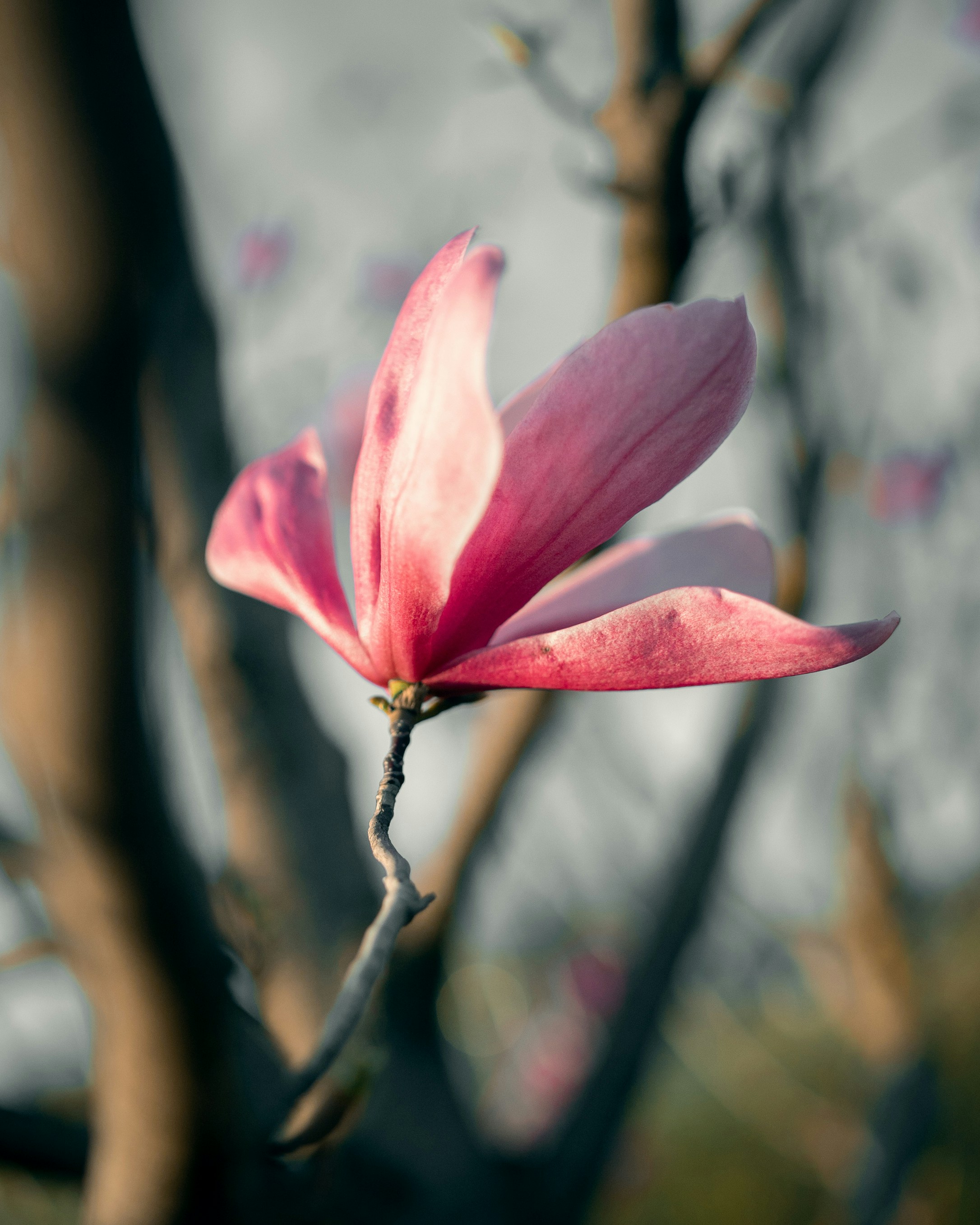 Photo by kirillpershin