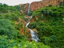 a waterfall in the middle of a lush green forest