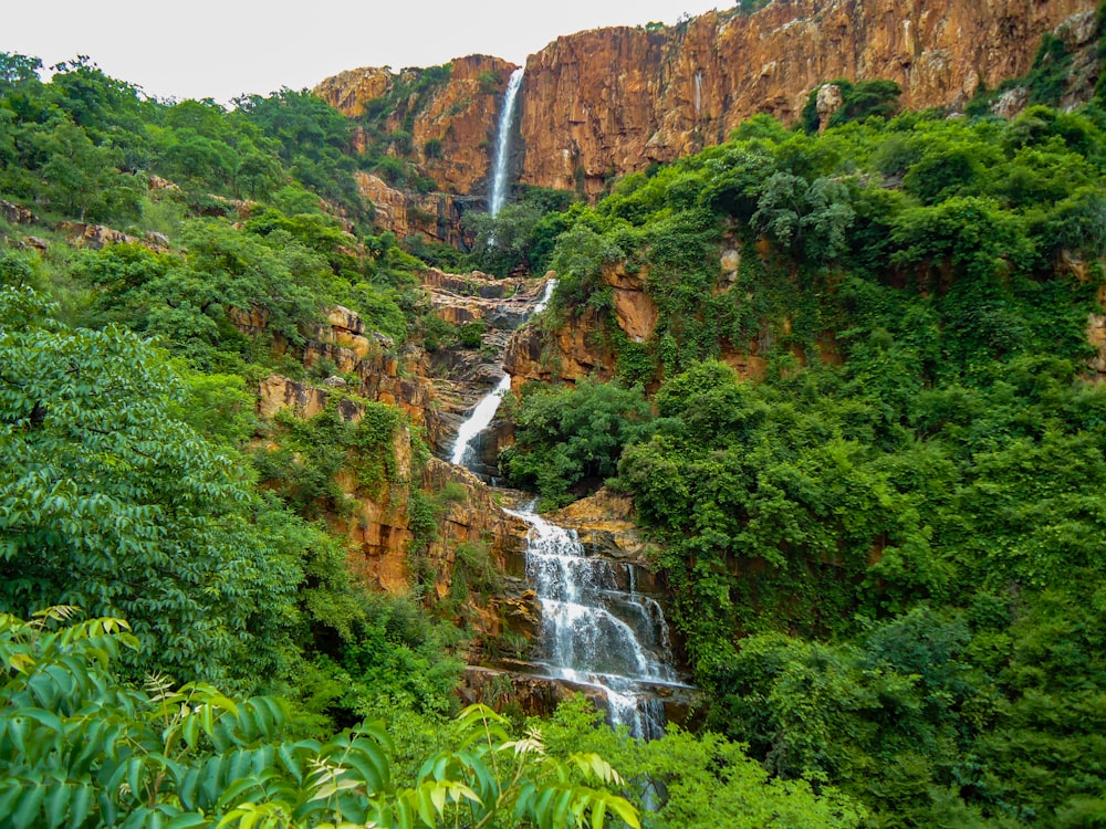 a waterfall in the middle of a lush green forest