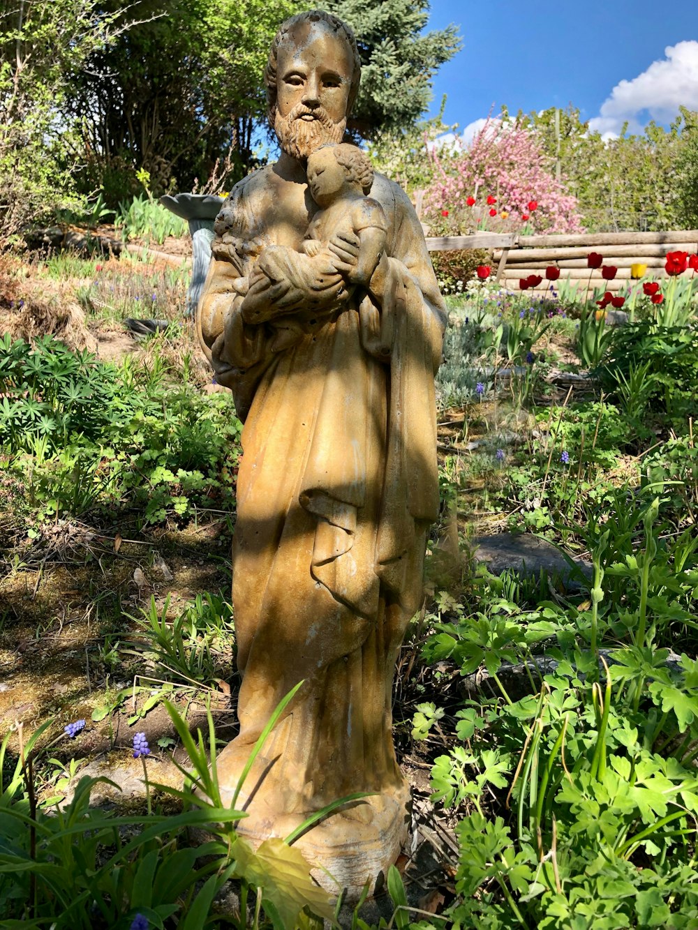 una statua di una persona che tiene un gatto in un giardino