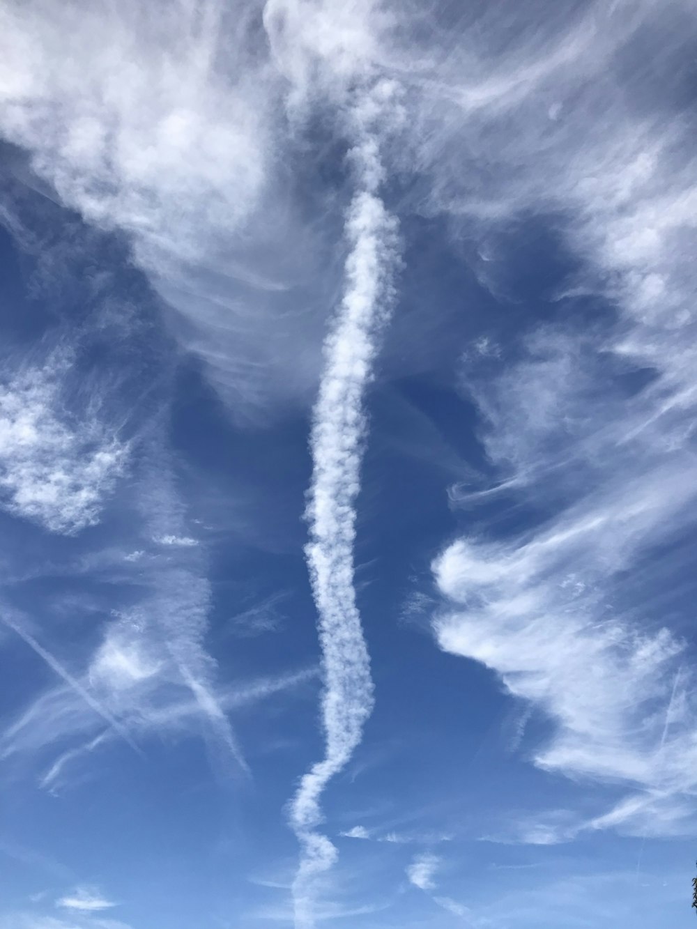 野原の上空に飛行機雲が見える