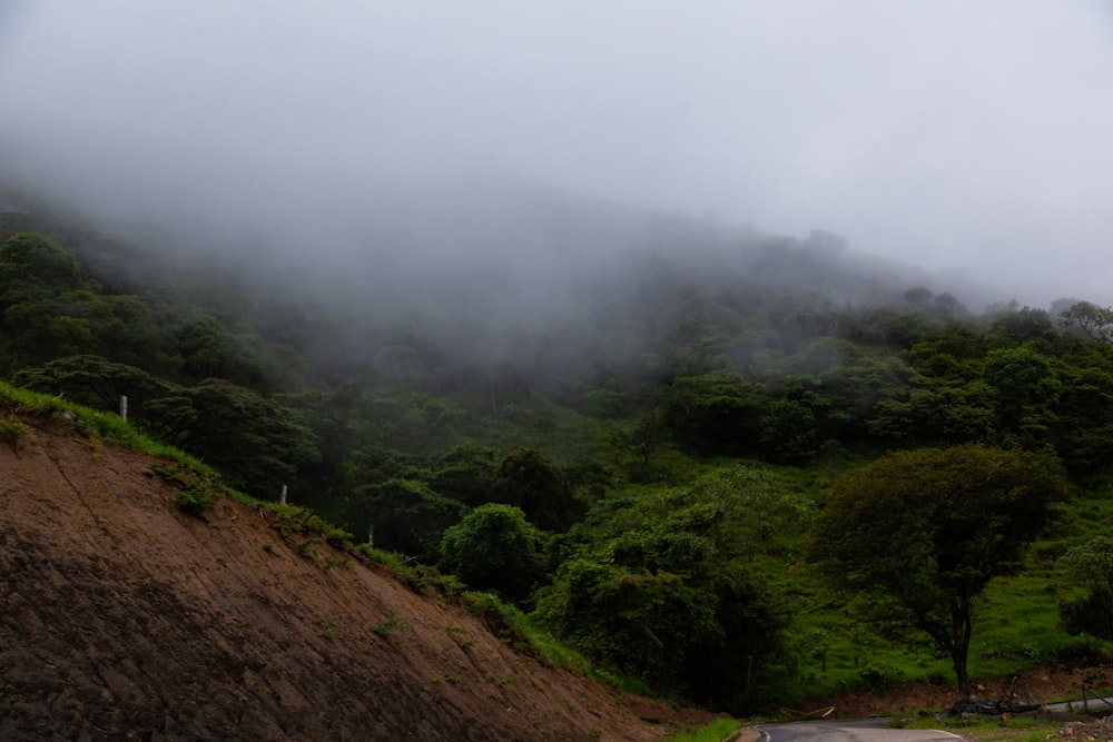 a hill covered in fog and low lying clouds