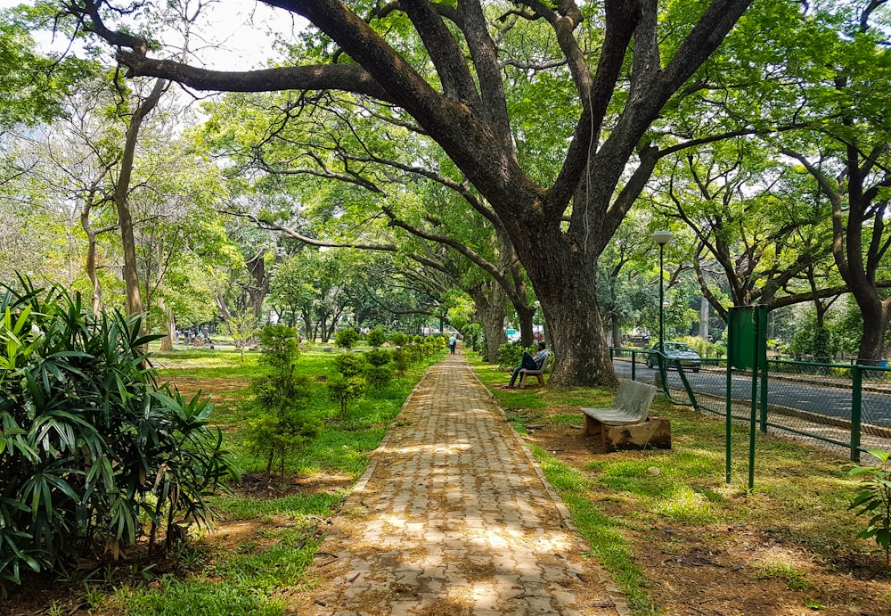 a brick path in a park lined with trees
