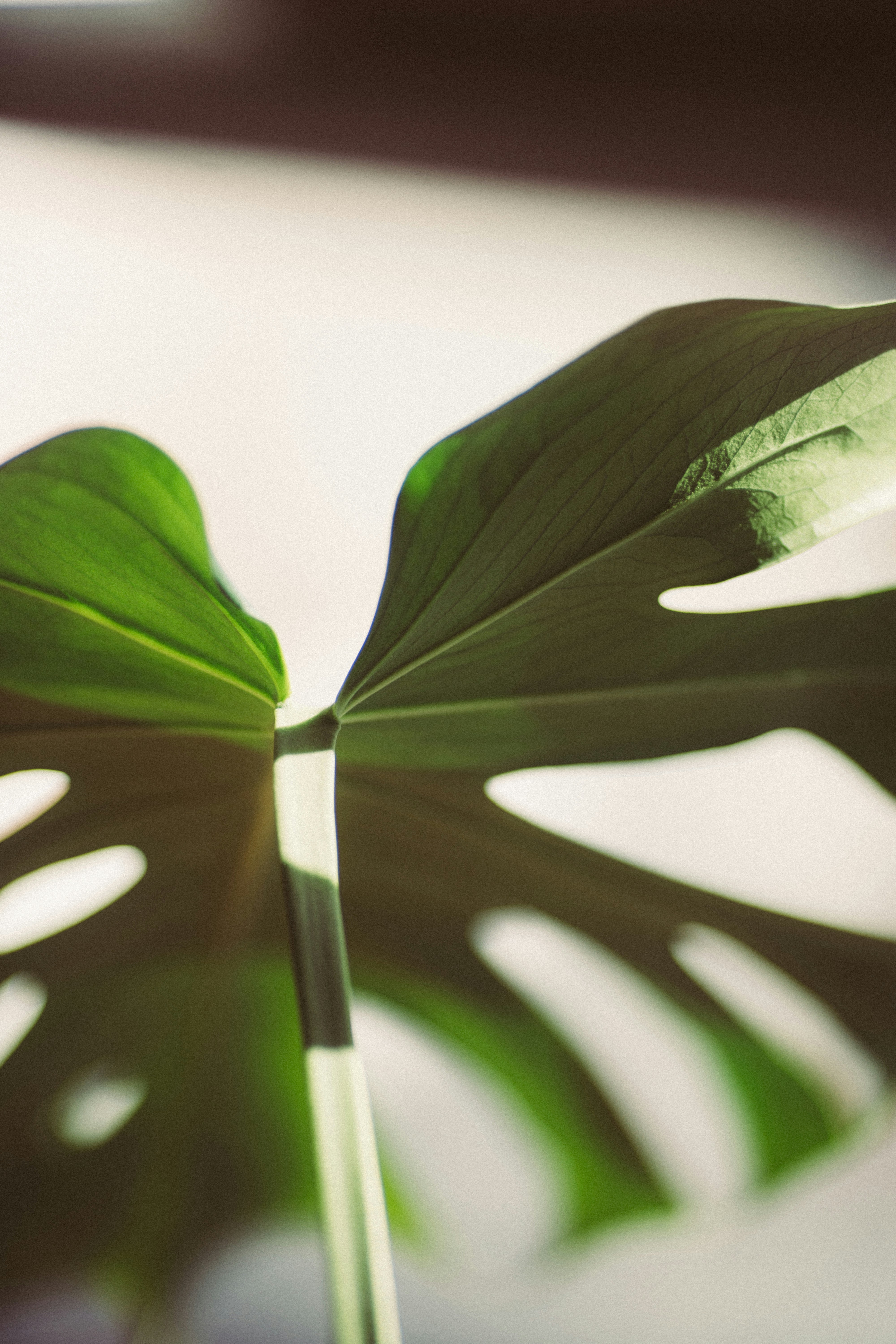 Photo by jaywennington