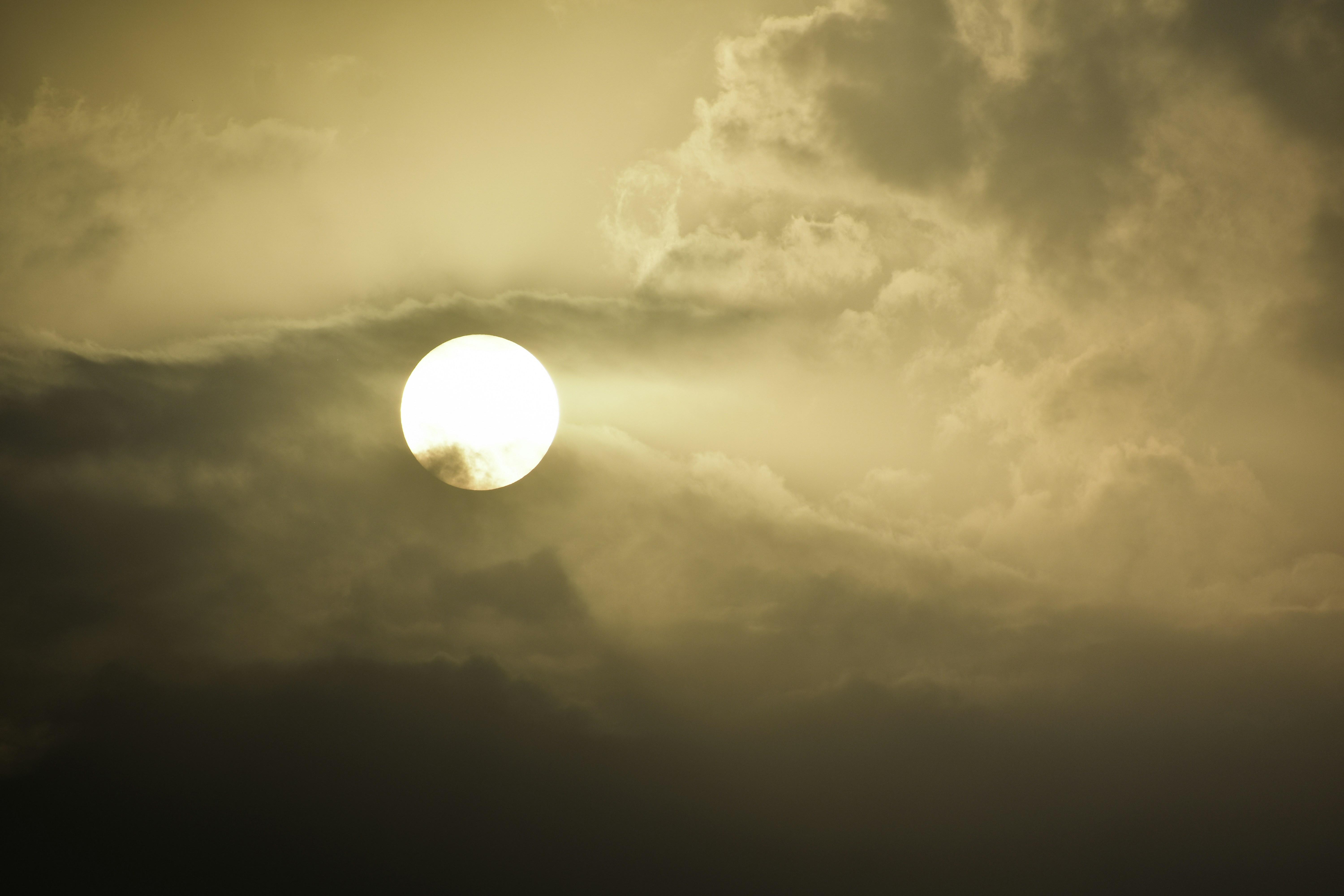 Photo by apeksha_singhwal