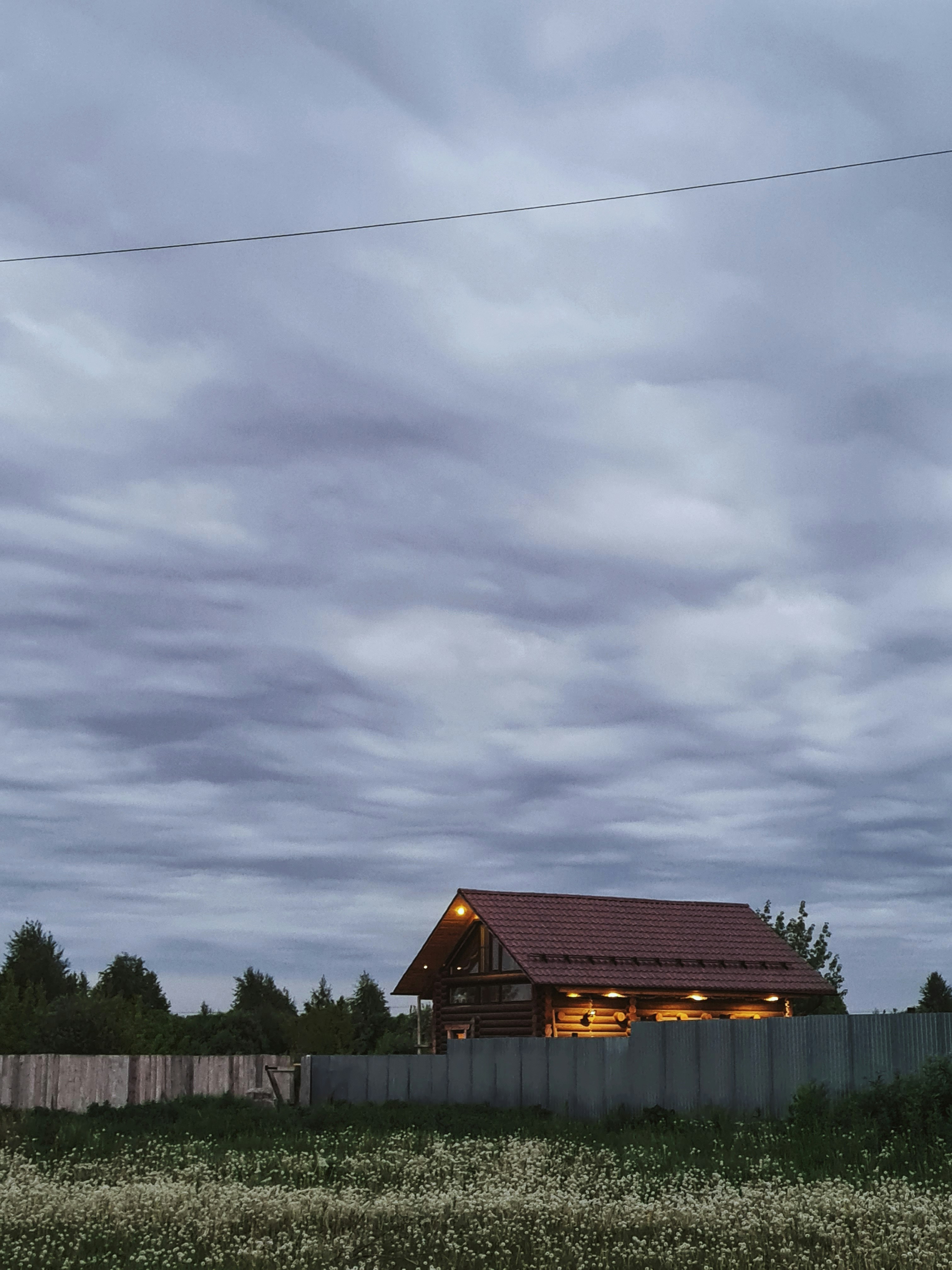 緑豊かな野原の上に座っている家